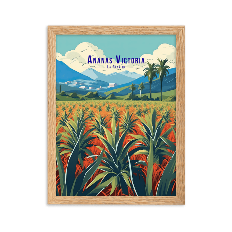 Illustration dananas victoria  50 × 70 cm
