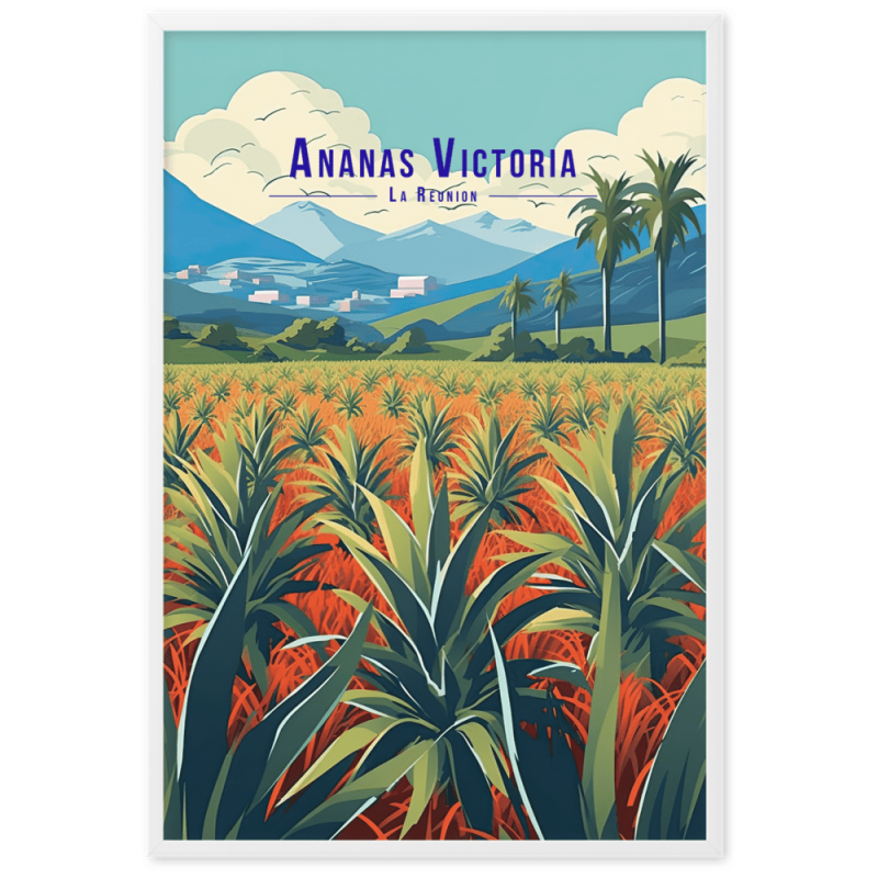 Illustration dananas victoria  61 × 91 cm