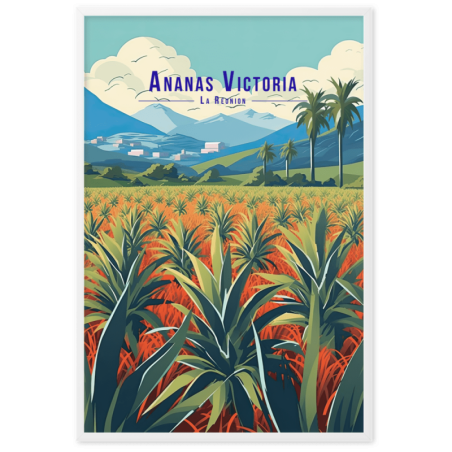 Illustration dananas victoria  61 × 91 cm