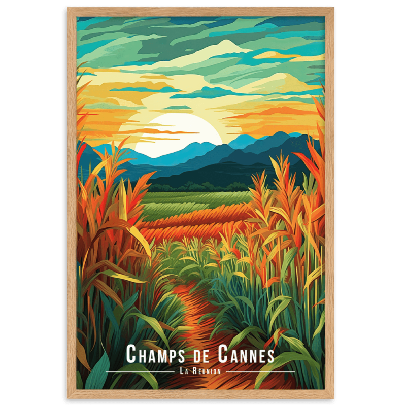 Champs de cannes  30 × 40 cm