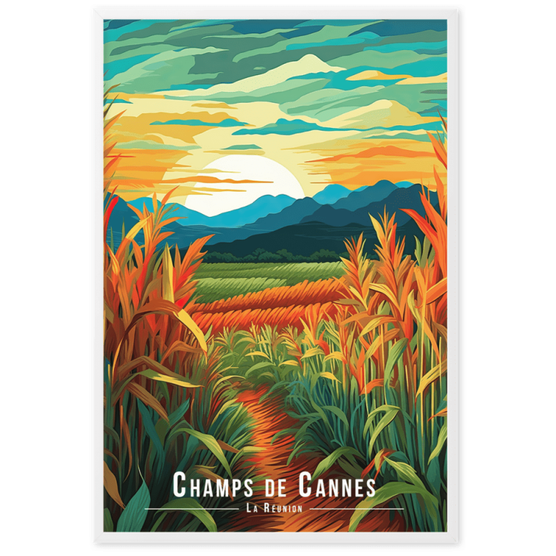 Champs de cannes  61 × 91 cm