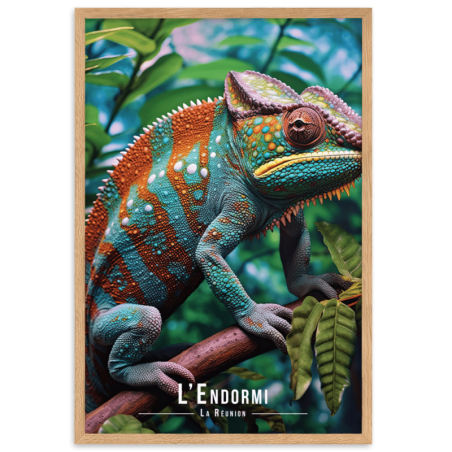 Cameleon de la reunion  30 × 40 cm