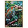 Cameleon de la reunion  30 × 40 cm