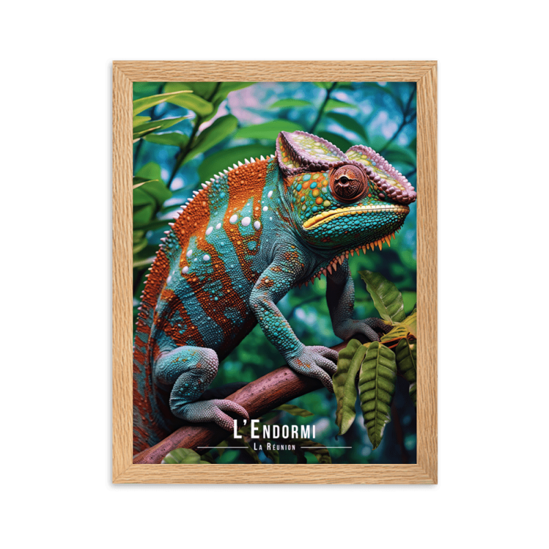 Cameleon de la reunion  50 × 70 cm