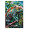 Cameleon de la reunion  61 × 91 cm