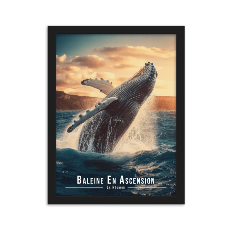 Baleine sautant hors de l'eau  50 × 70 cm