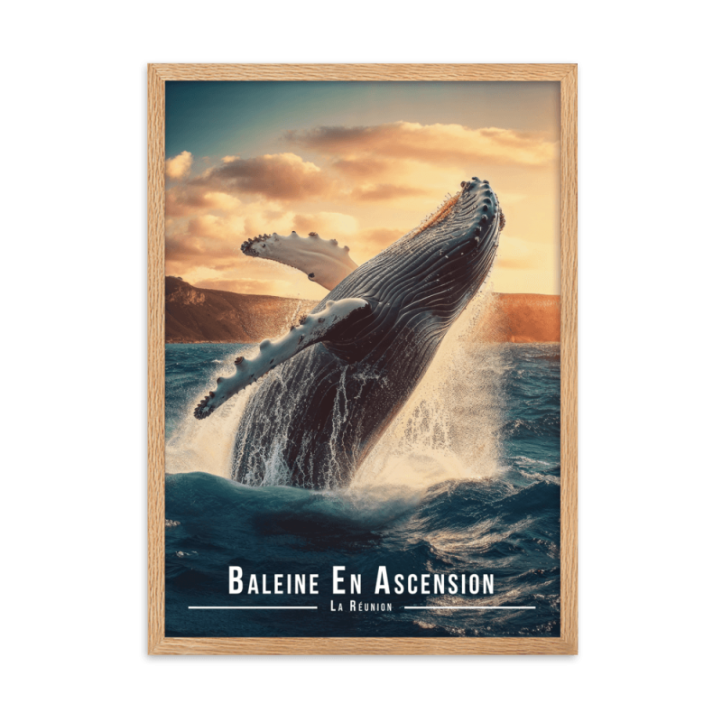 Baleine sautant hors de l'eau  61 × 91 cm