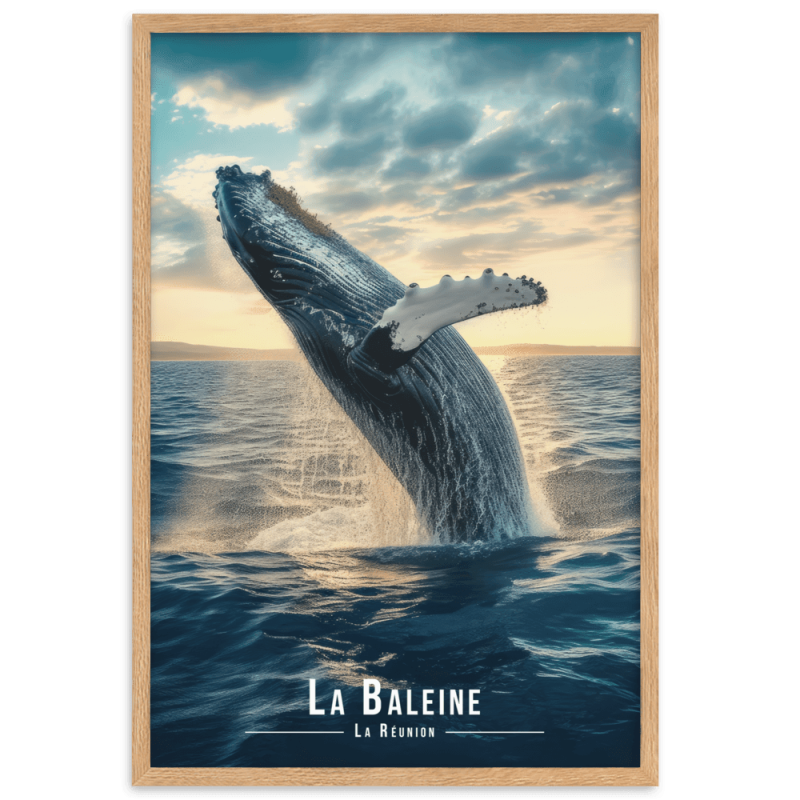 Baleine en ascension pres de la reunion  30 × 40 cm