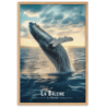 Baleine en ascension pres de la reunion  30 × 40 cm