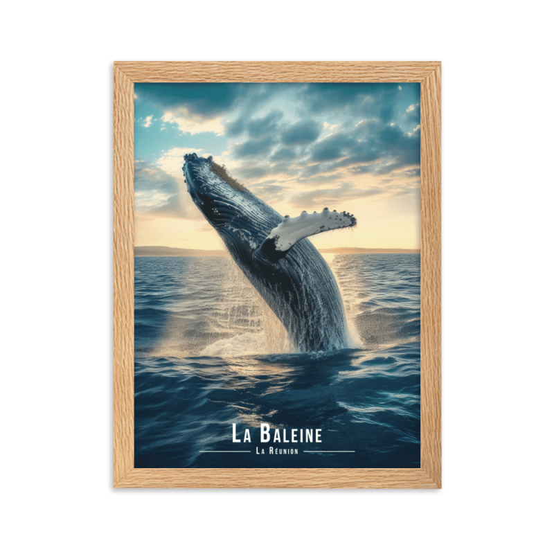 Baleine en ascension pres de la reunion  50 × 70 cm