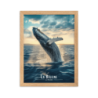 Baleine en ascension pres de la reunion  50 × 70 cm