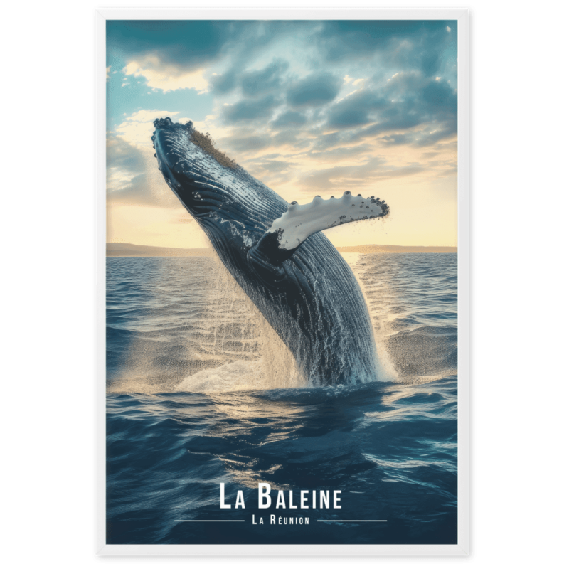 Baleine en ascension pres de la reunion 61 × 91 cm