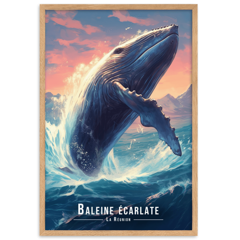 Magnifique baleine sautant hors de leau  30 × 40 cm