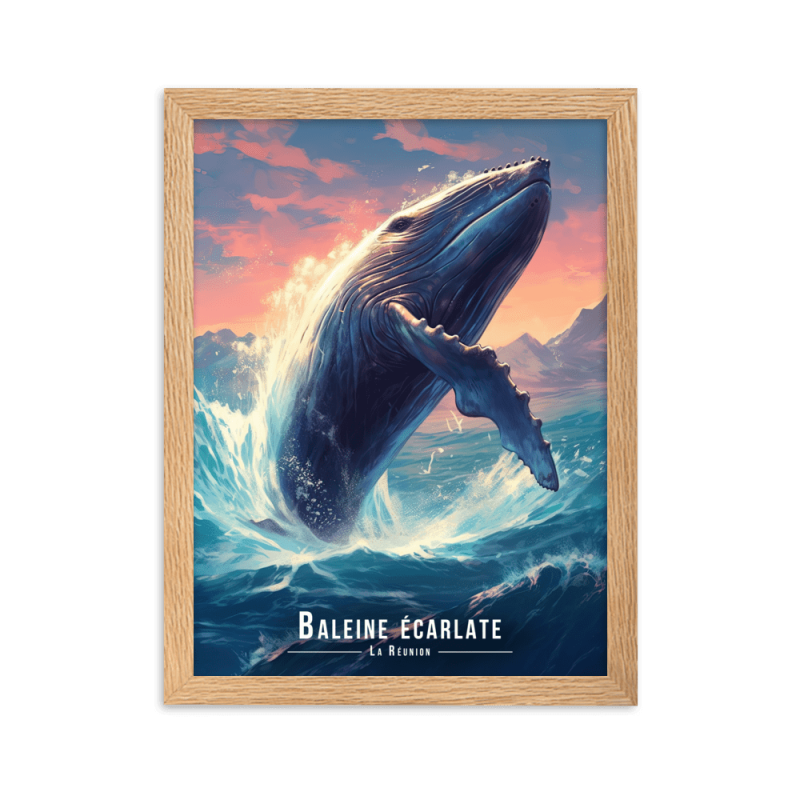 Magnifique baleine sautant hors de leau  50 × 70 cm