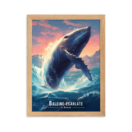 Magnifique baleine sautant hors de leau  50 × 70 cm