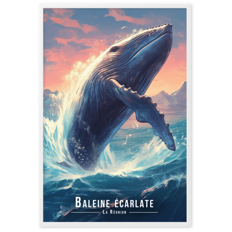 Magnifique baleine sautant hors de leau  61 × 91 cm