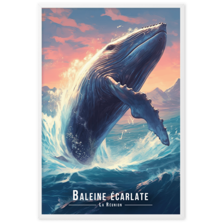 Magnifique baleine sautant hors de leau  61 × 91 cm