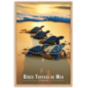 Bebes tortues vers la mer  30 × 40 cm