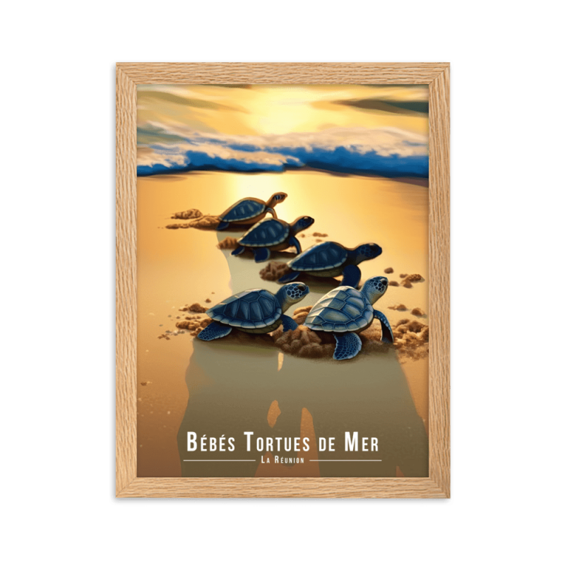 Bebes tortues vers la mer  50 × 70 cm