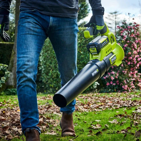 Aspirateur Souffleur Turbo Jet 36V Max Power gris/argenté à batterie (non fournie)