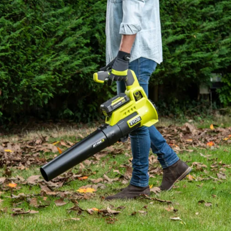 Aspirateur Souffleur Turbo Jet 36V Max Power gris/argenté à batterie (non fournie)