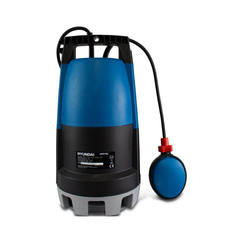 POMPE VIDE-CAVE 750W EAU CHARG