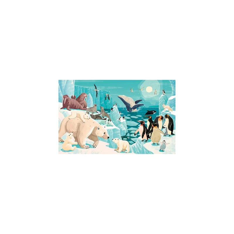 Puzzle Les Glaces La planète en danger 220 pièces - SASSI JUNIOR - Dès 6 ans