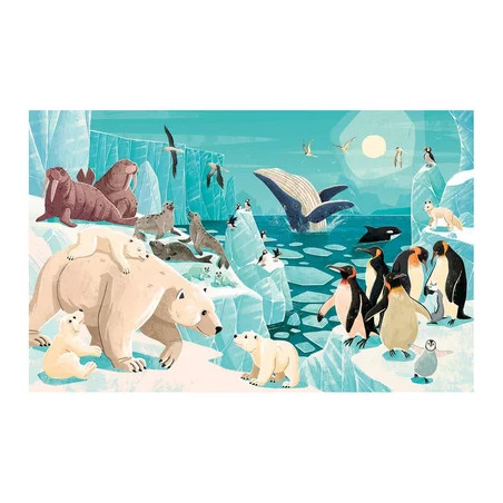 Puzzle Les Glaces La planète en danger 220 pièces - SASSI JUNIOR - Dès 6 ans