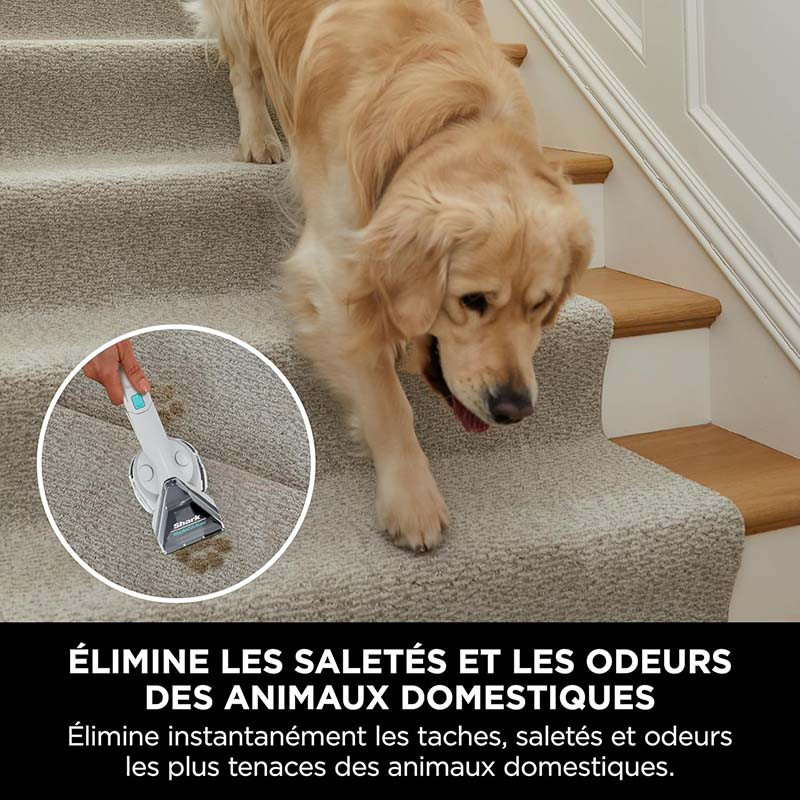 Nouveau produit 31019620