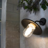 Applique extérieur HOBART E27 60W