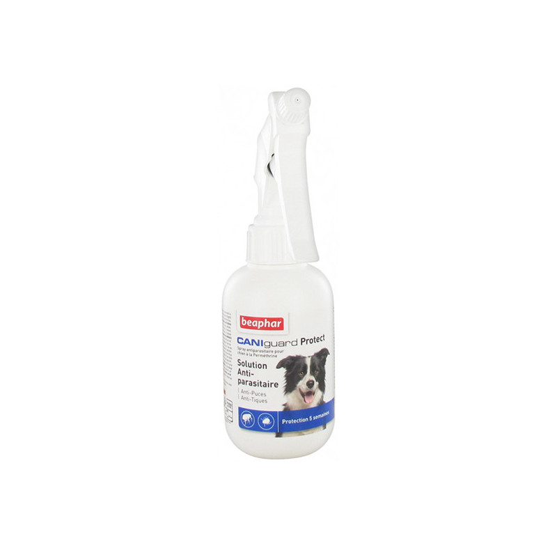Nouveau produit 27081497