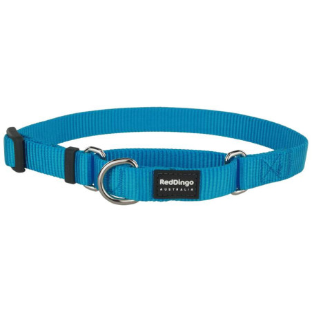 Collier pour chien uni semi étrangleur Martingale taille M Turquoise - RED DINGO - RCMUETU186