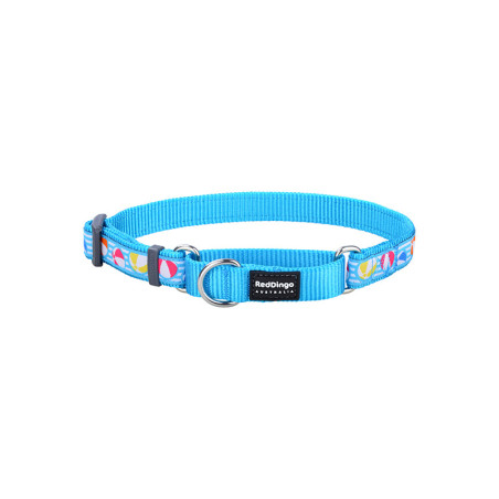 Collier pour chien imprimé semi étrangleur Beach Ball taille XS/S Turquoise - RED DINGO - RCSIEBBT986