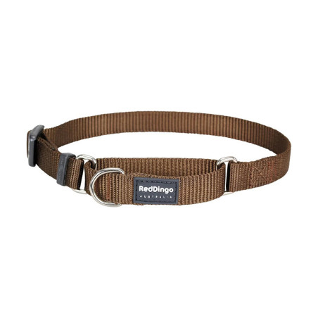 Collier pour chien uni semi étrangleur Martingale taille XS/S Marron - RED DINGO - RCSUEMA233