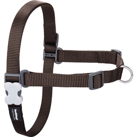 Harnais anti-traction Classic 20mm M/L Marron - RED DINGO - RHMUTMA576