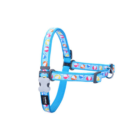 Harnais anti-traction Beach Ball 15mm S/M Turquoise - RED DINGO - RHS5ITBBT226