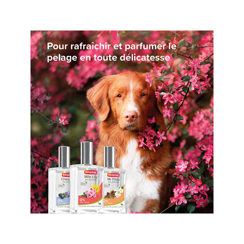 Nouveau produit 27081535