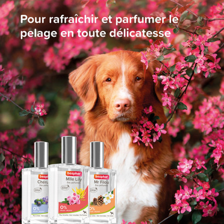 Nouveau produit 27081535
