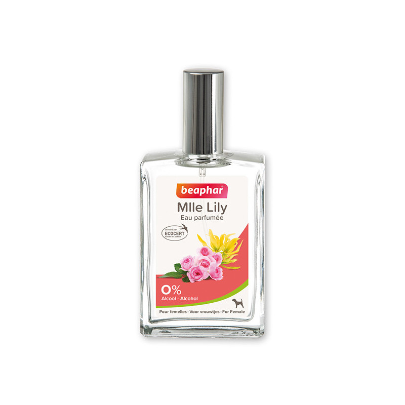 Nouveau produit 27081536