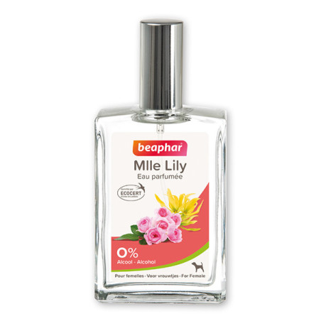 Eau Parfumée mLle Lily pour Chien Femelle 50mL - BEAPHAR - BH5EF523