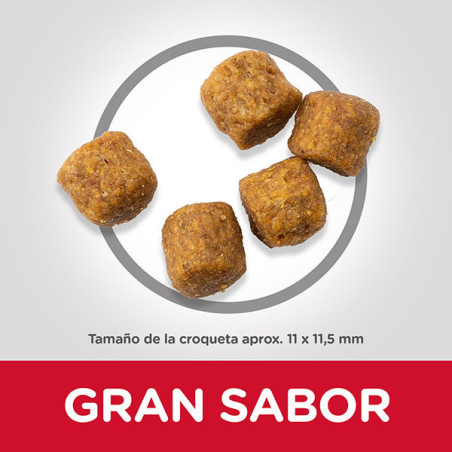 Nouveau produit 27081650