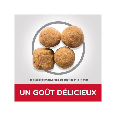 Nouveau produit 27074475