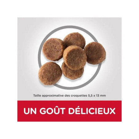 Nouveau produit 27074503
