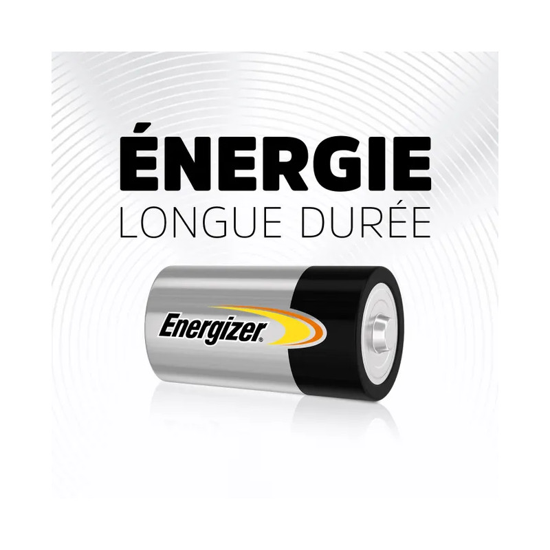 Lot de 2 piles alcalines POWER LR14