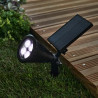 Spot à piquer solaire Riz 70 Lumen noir