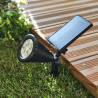 Spot à piquer solaire Riz 70 Lumen noir