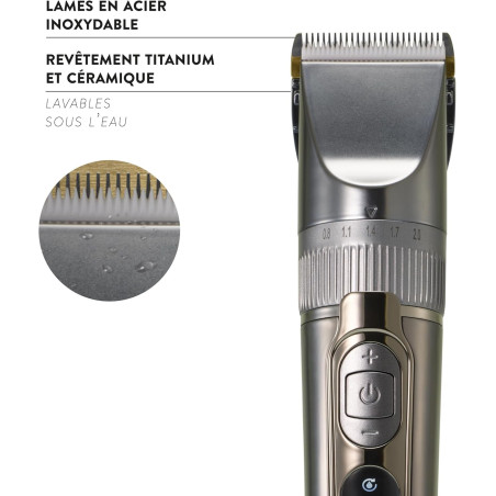 Nouveau produit 31019728