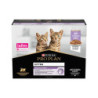 Pâtée chaton dinde pochon sauce 85grs X10 - PRO PLAN - WCATJUGIG85