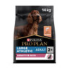 Croquettes chien adulte large athletic saumon 14kgs - PRO PLAN - WLAADSA14
