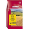 Millet jaune Prestige 1Kg - VERSELE LAGA - ONP8